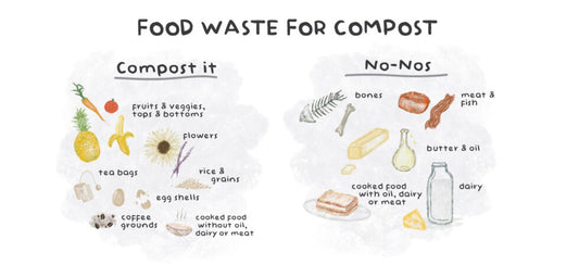 Compost 101 and Peeq’s Compostable Cellulose Sponges